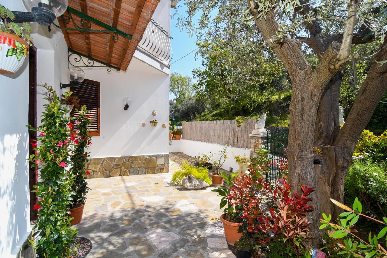 Amore Rentals - Casa Tatano Marciano Exterior foto